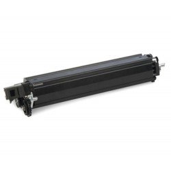 Lexmark 70C0D30 stampante di sviluppo 40000 pagine | Lexmark Unit&agrave; sviluppatore magenta 700D3 70C0D30 ~40000 pagine